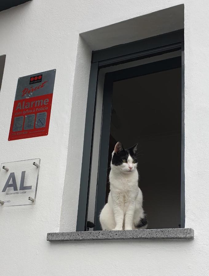 Apartmán Caminhos Nos Levam Pela Ilha Ponta Delgada Exteriér fotografie